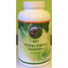 Moringa MTT 