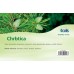Chrbtica