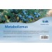 Metabolizmus