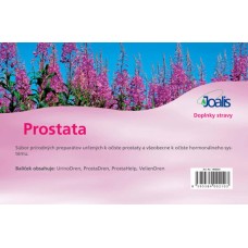 Prostata
