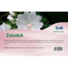 Žalúdok